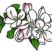 Fundraising Page: Michigan Apple Blossoms